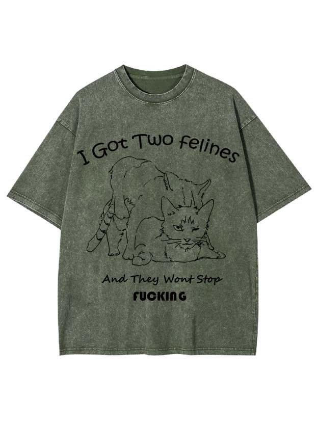 I Got Two Felines And They Want Stop Fucking Washed Tshirt-ClassyOutlaw