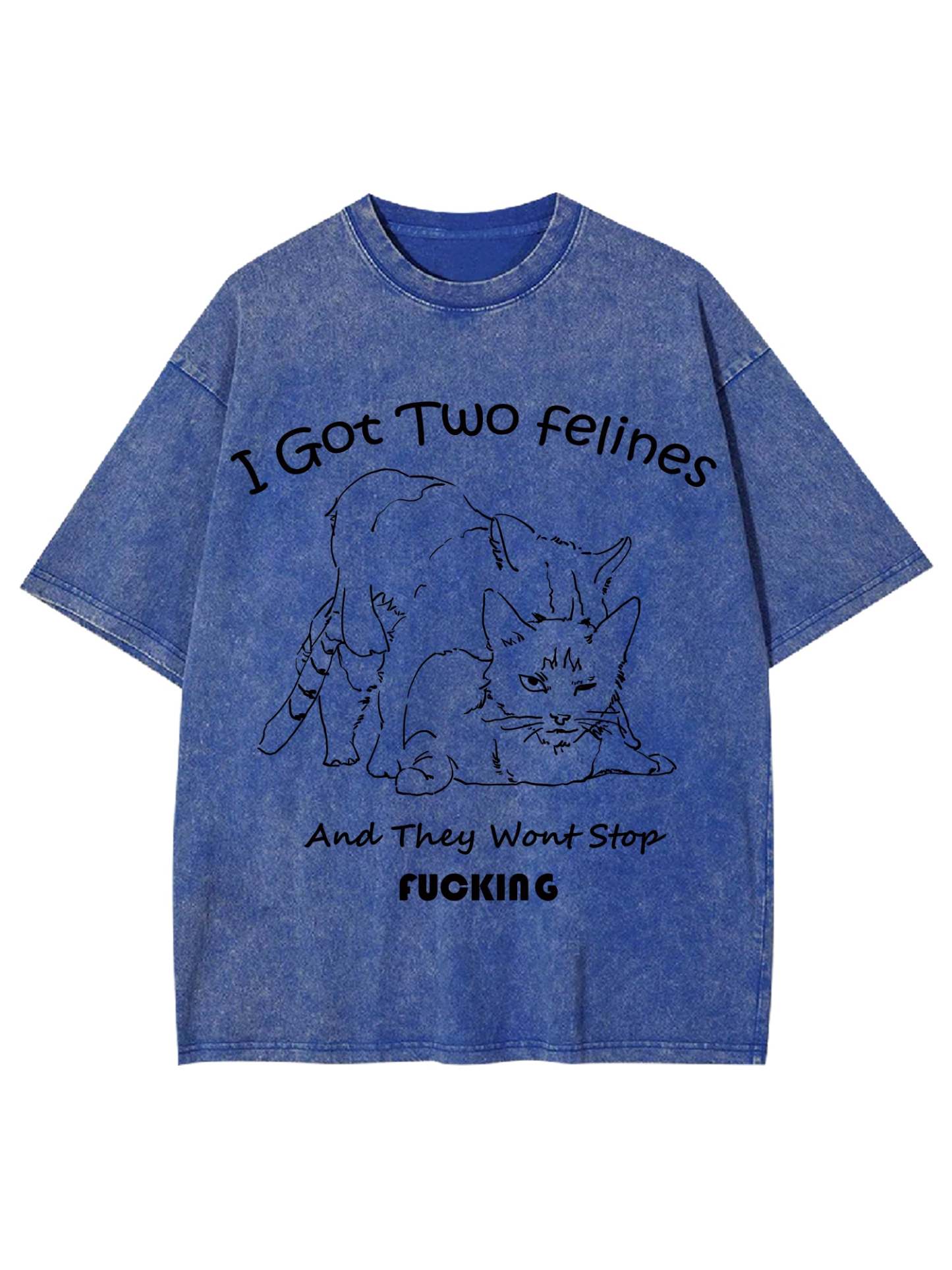 I Got Two Felines And They Want Stop Fucking Washed Tshirt-ClassyOutlaw
