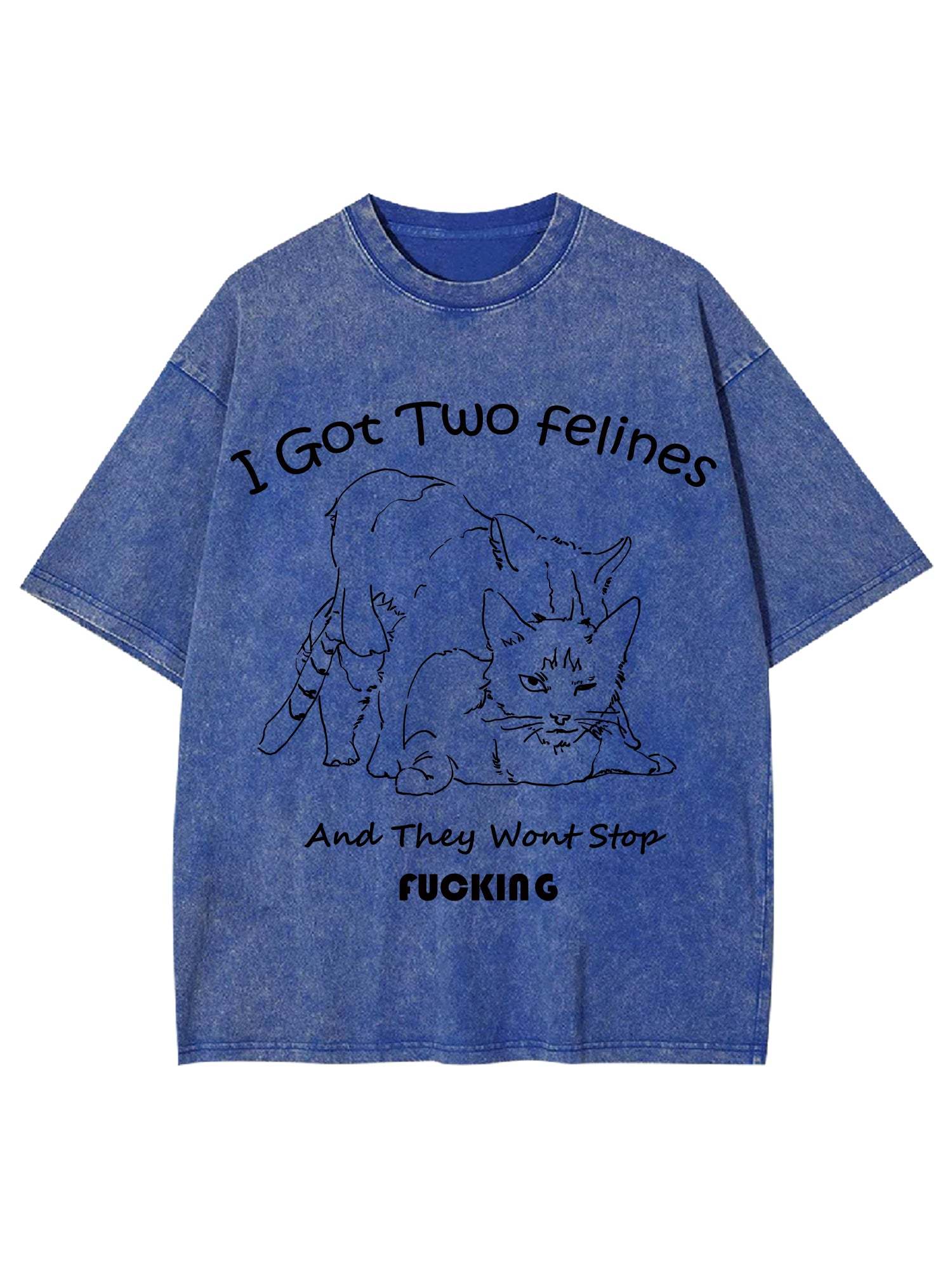 I Got Two Felines And They Want Stop Fucking Washed Tshirt-ClassyOutlaw