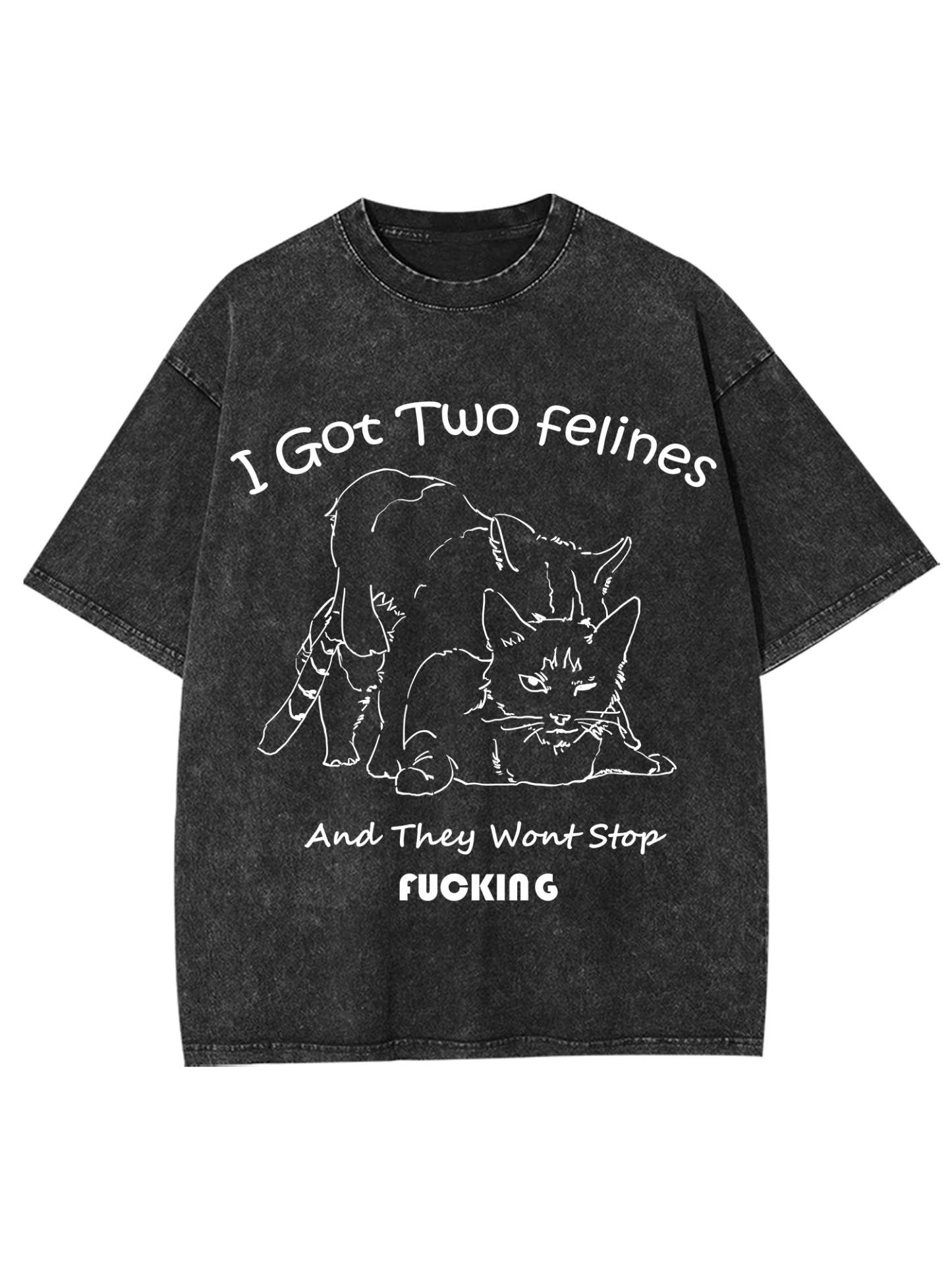 I Got Two Felines And They Want Stop Fucking Washed Tshirt-ClassyOutlaw