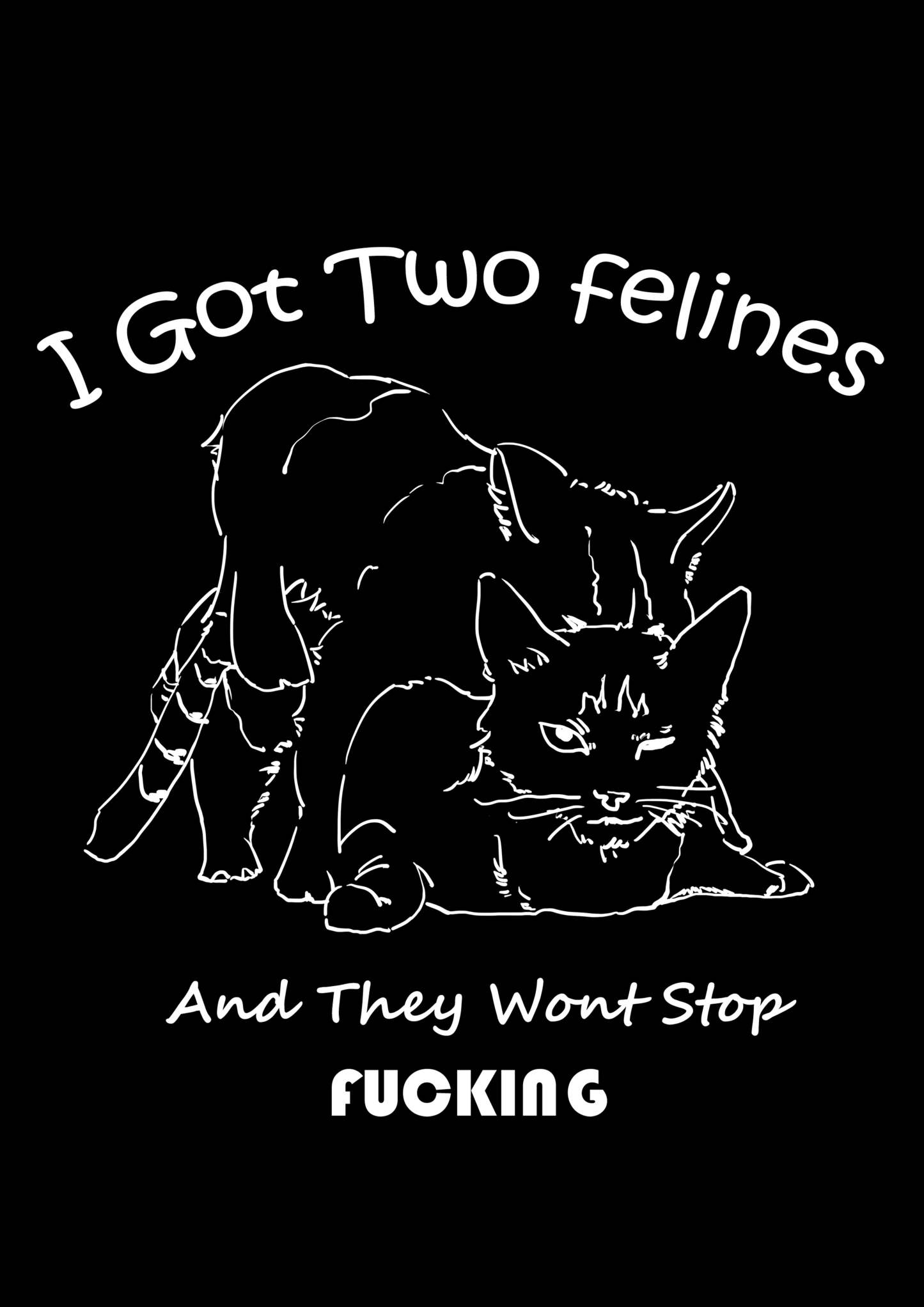 I Got Two Felines And They Want Stop Fucking Washed Tshirt-ClassyOutlaw