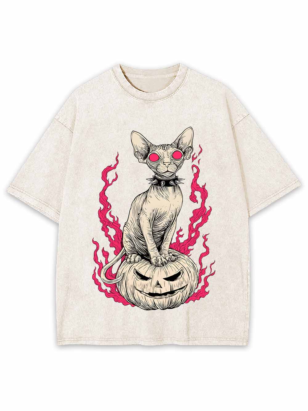 Hairless Cat Pumpkin Flame Washed Tshirt