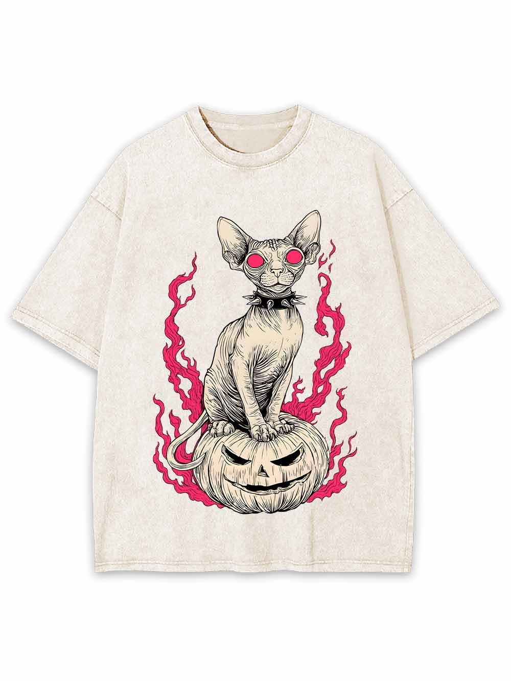 Hairless Cat Pumpkin Flame Washed Tshirt