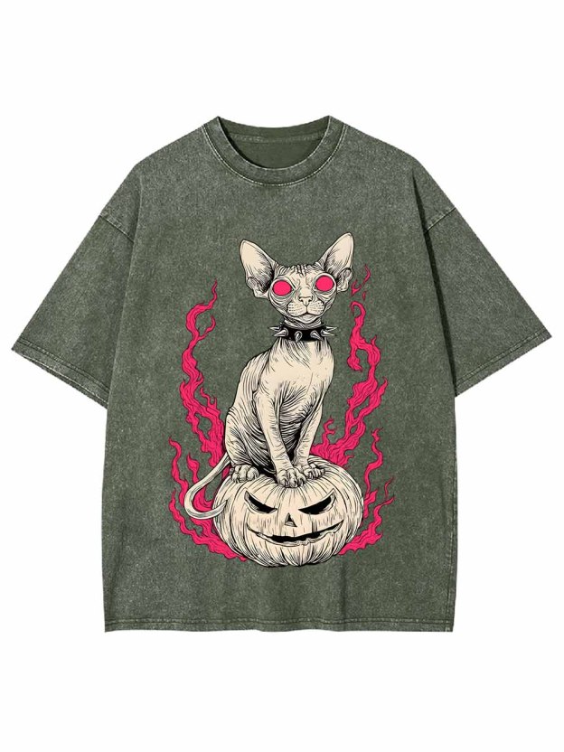 Hairless Cat Pumpkin Flame Washed Tshirt