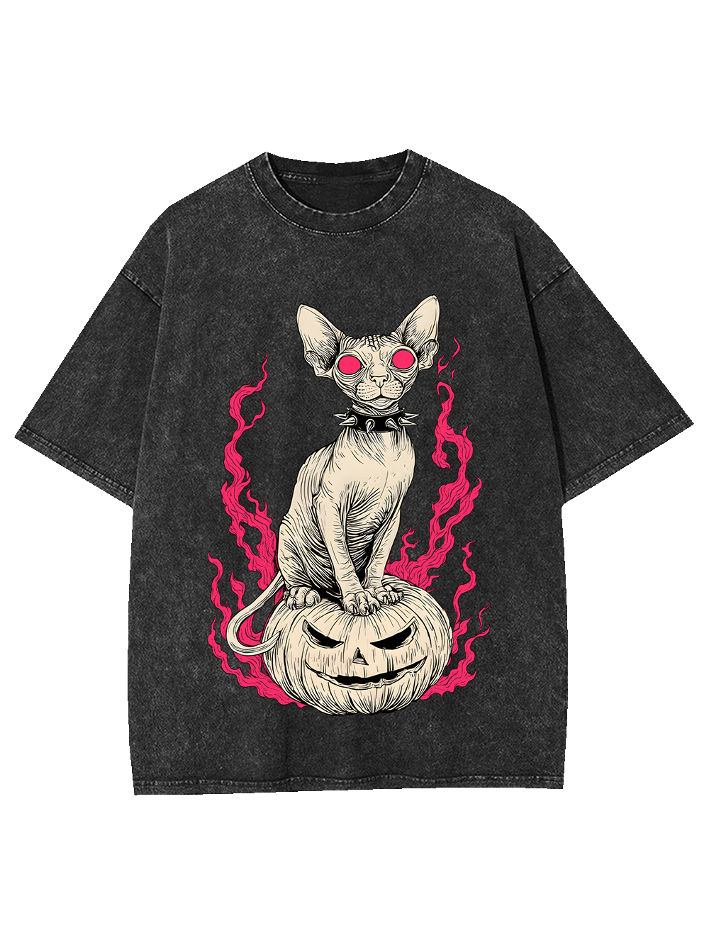 Hairless Cat Pumpkin Flame Washed Tshirt