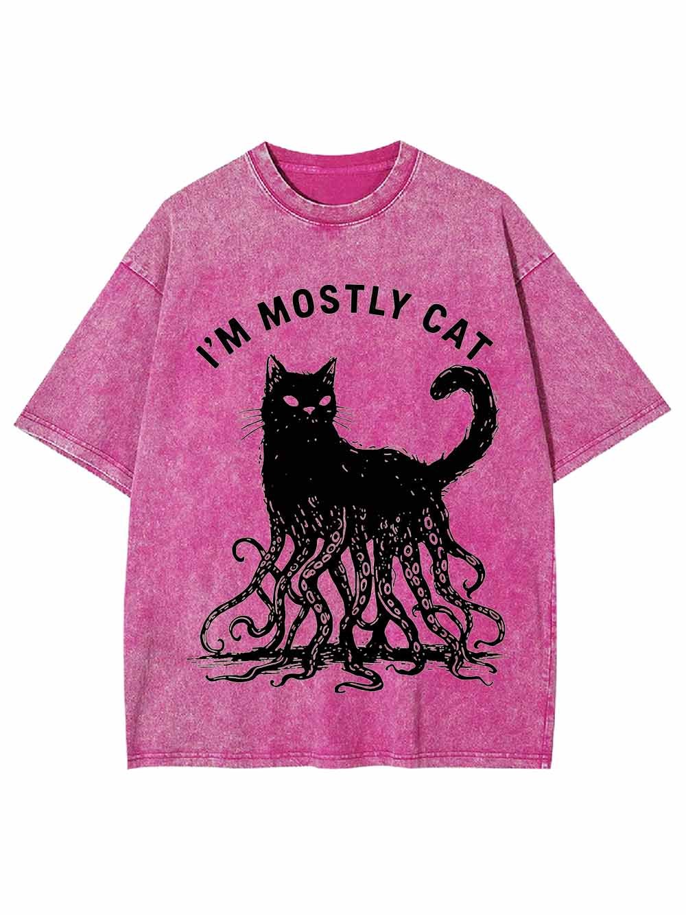 I Am Mostly Cat Washed Tshirt