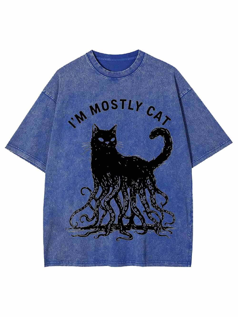 I Am Mostly Cat Washed Tshirt