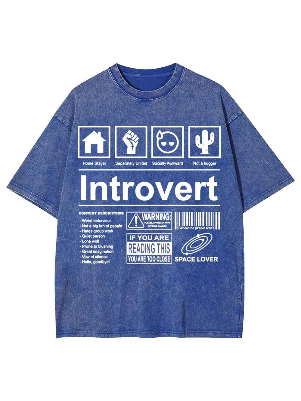 Introvert Washed Tshirt