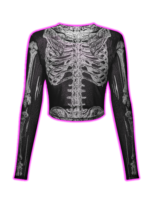 Anatomy Of The Human Skeleton Mesh Top