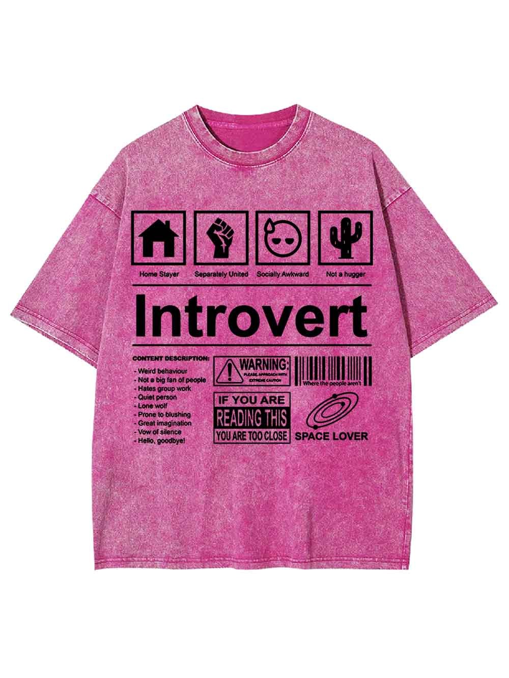 Introvert Washed Tshirt