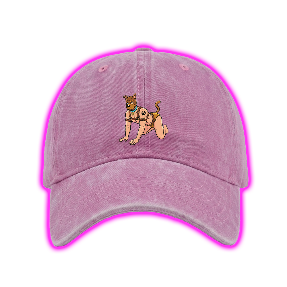 HUMAN PUP PLAY WASHED VINTAGE BASEBALL CAP