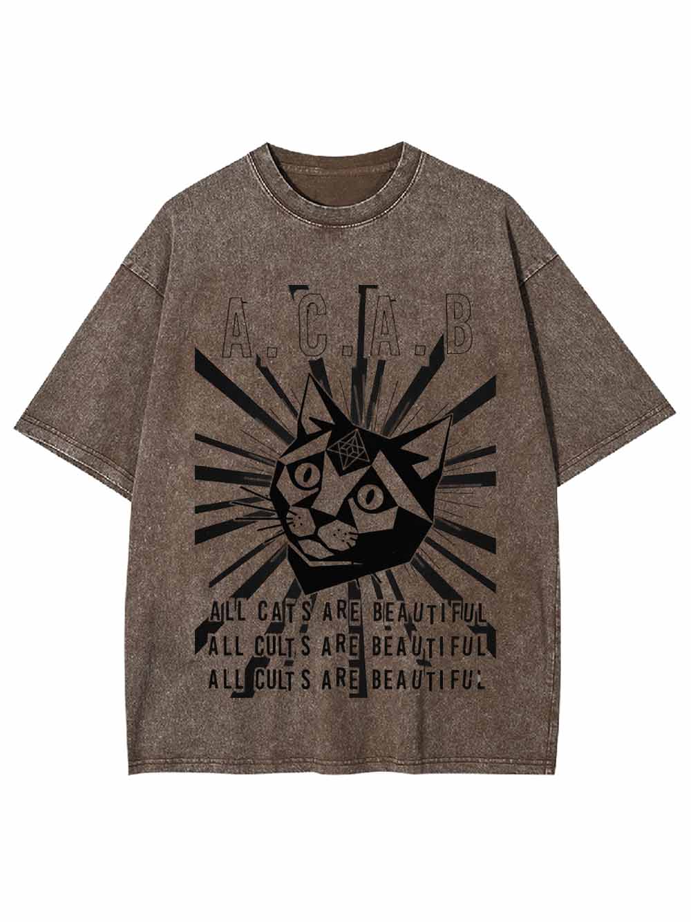 All Cats Are Beautiful Washed Tshirt