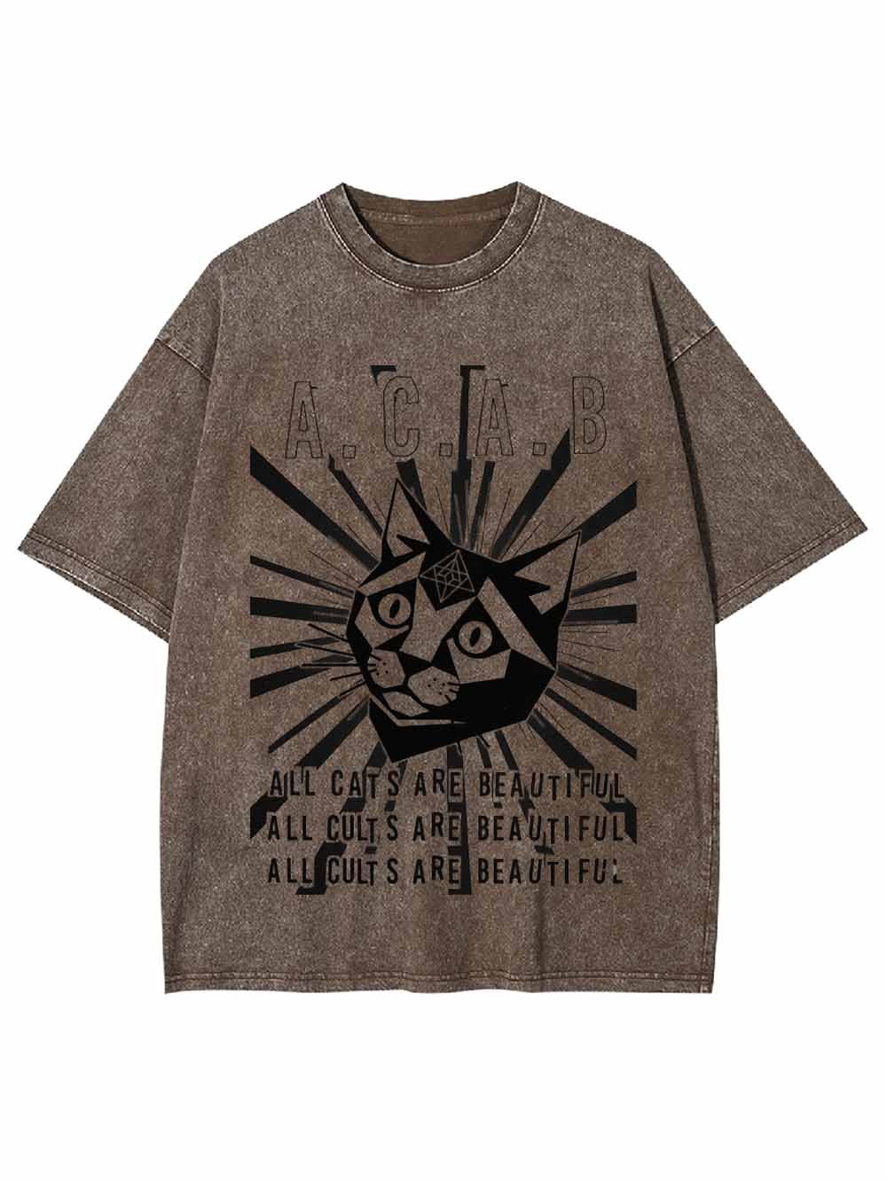 All Cats Are Beautiful Washed Tshirt