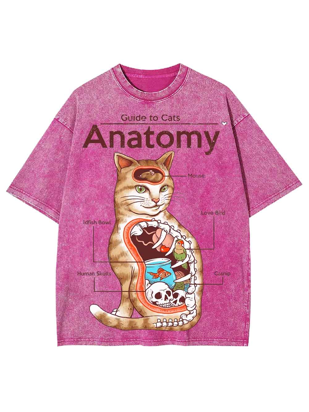 Anatomy Washed Tshirt