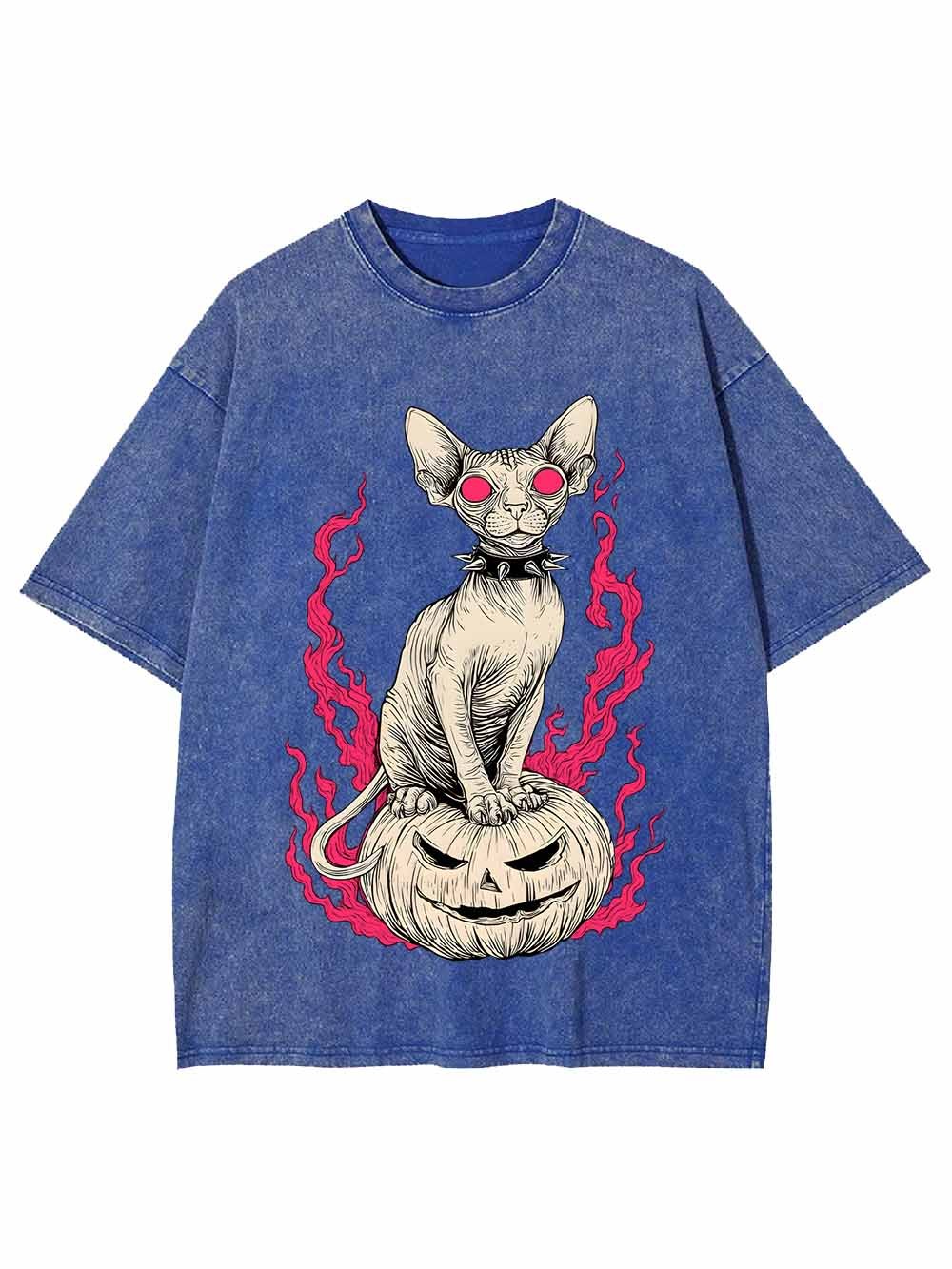 Hairless Cat Pumpkin Flame Washed Tshirt