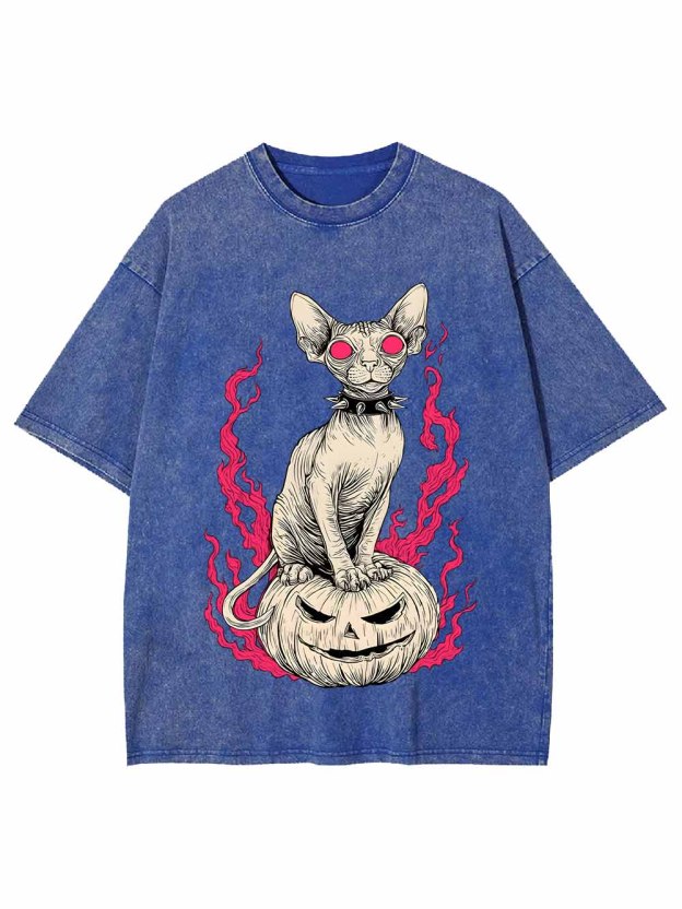 Hairless Cat Pumpkin Flame Washed Tshirt