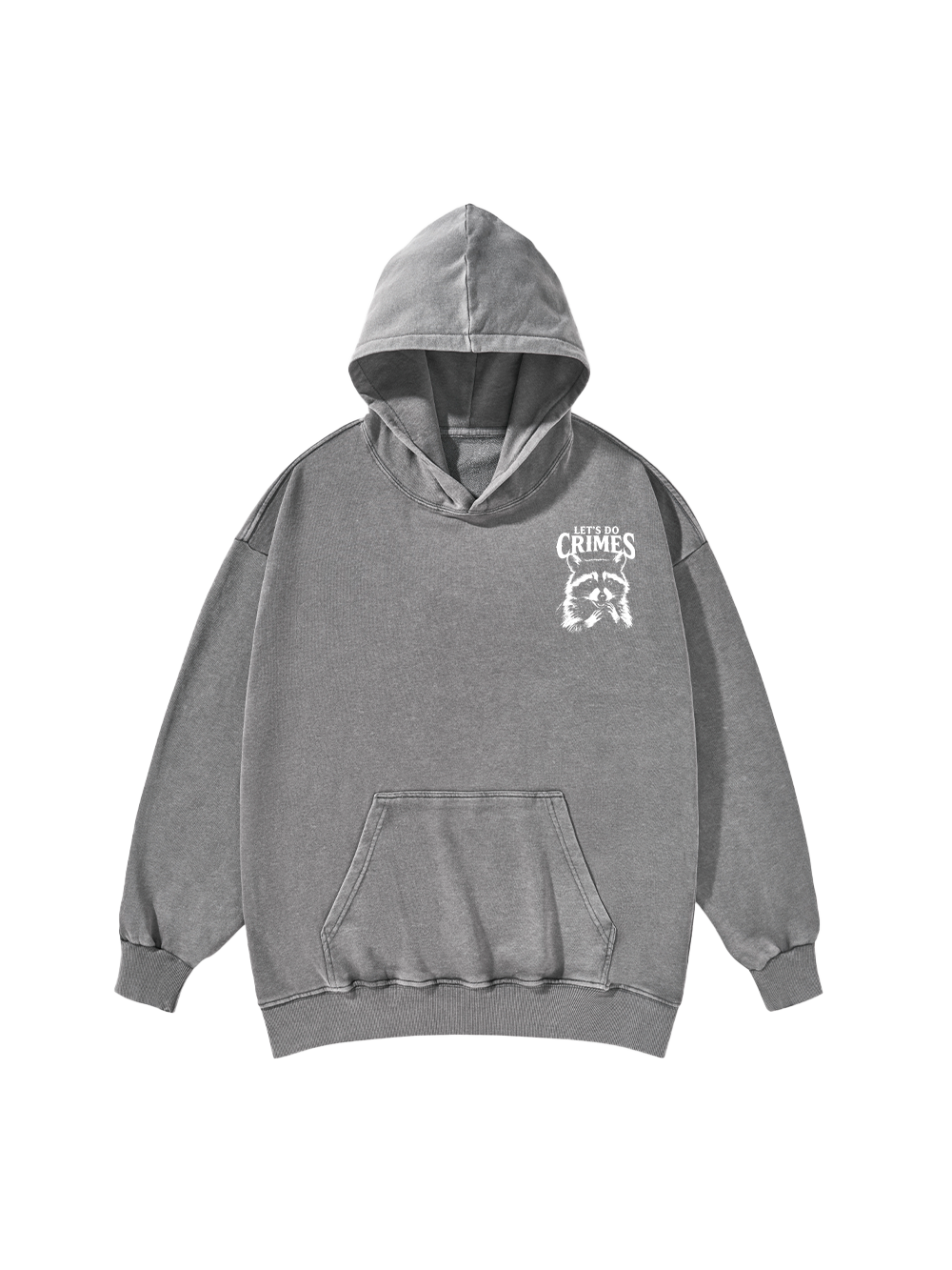 CRIMINAL RACCOON PLANS WASHED HOODIE