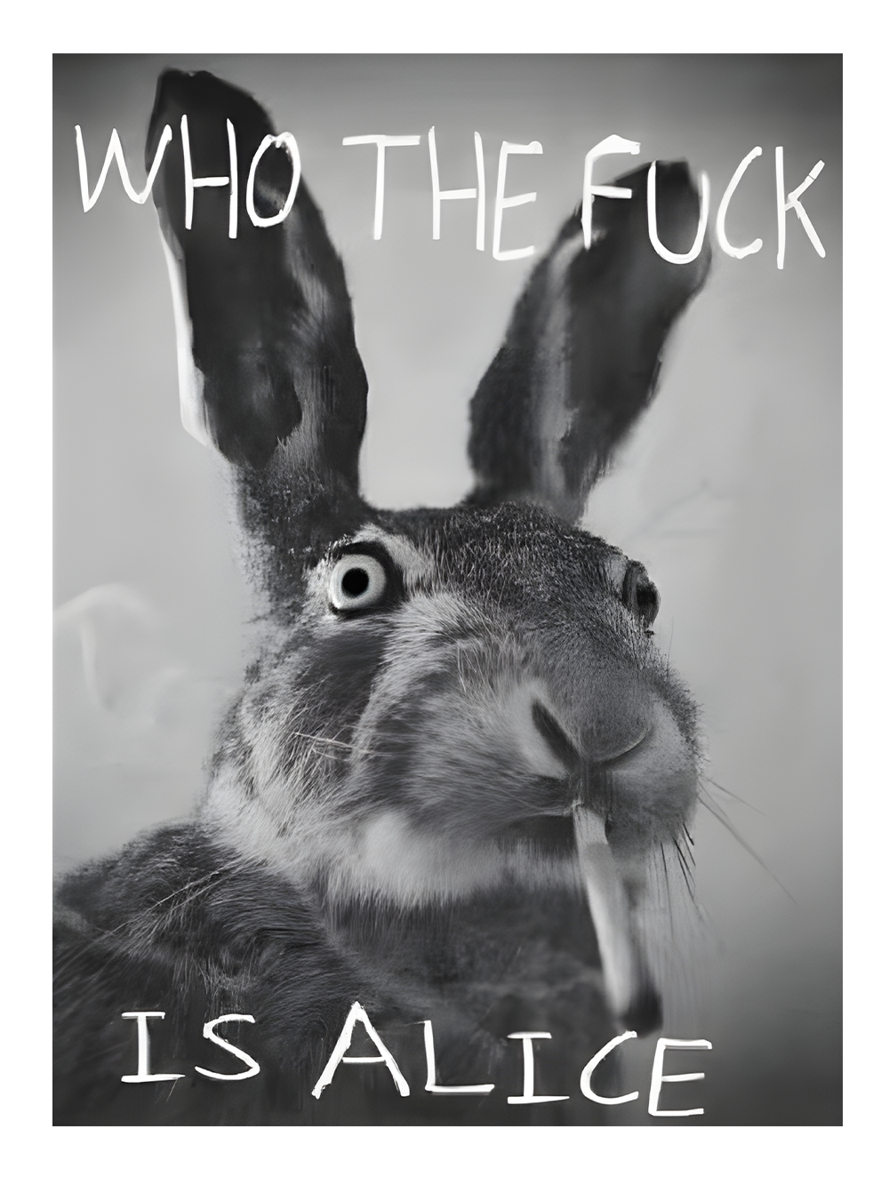 WHO THE FUCK IS ALICE OFF SHOULDER TSHIRT