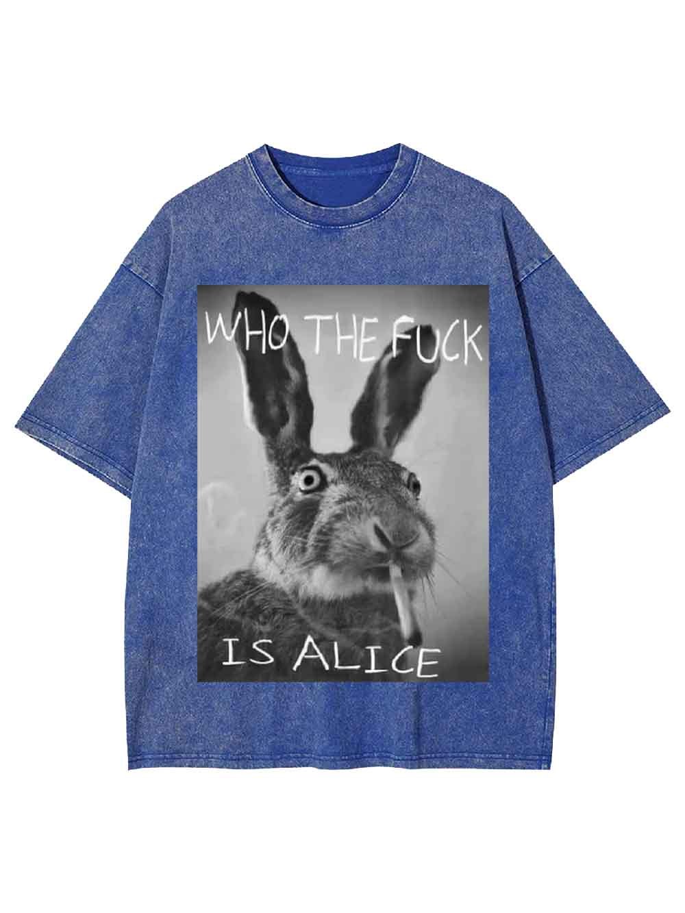 WHO THE FUCK IS ALICE WASHED TSHIRT