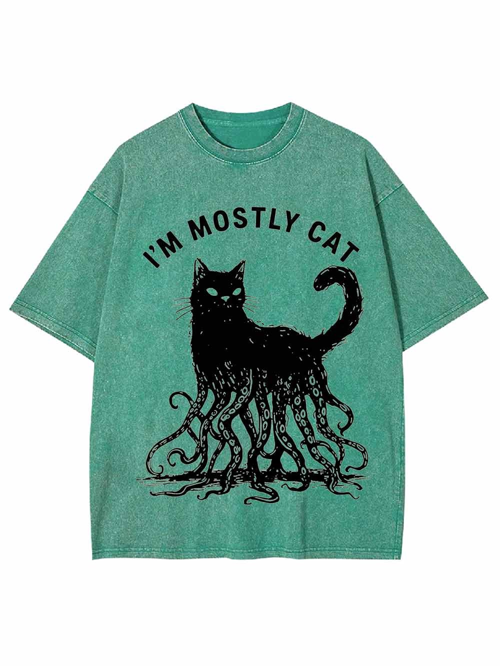 I Am Mostly Cat Washed Tshirt