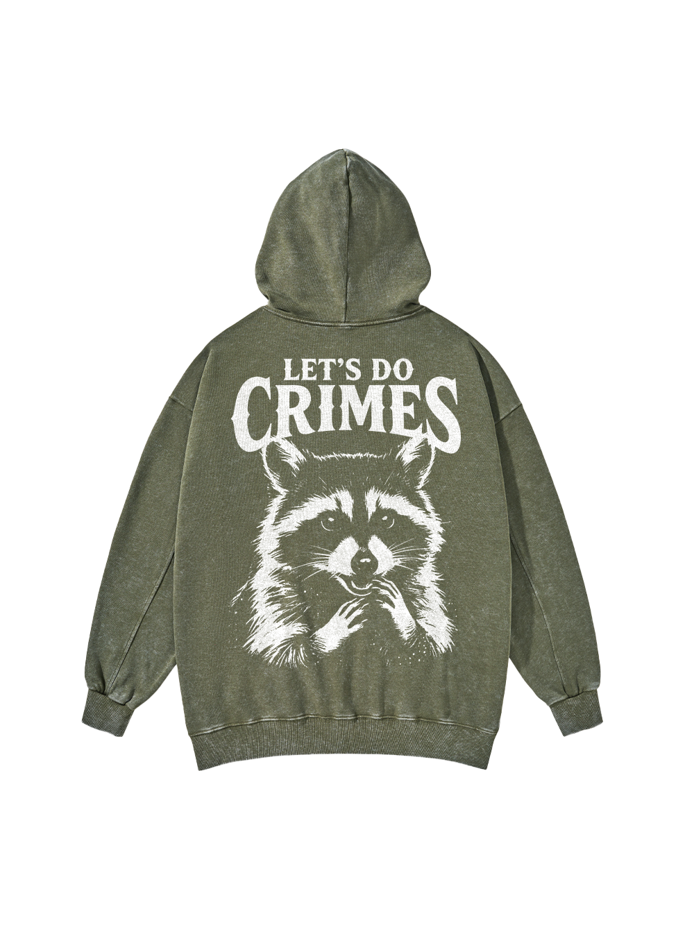 CRIMINAL RACCOON PLANS WASHED HOODIE