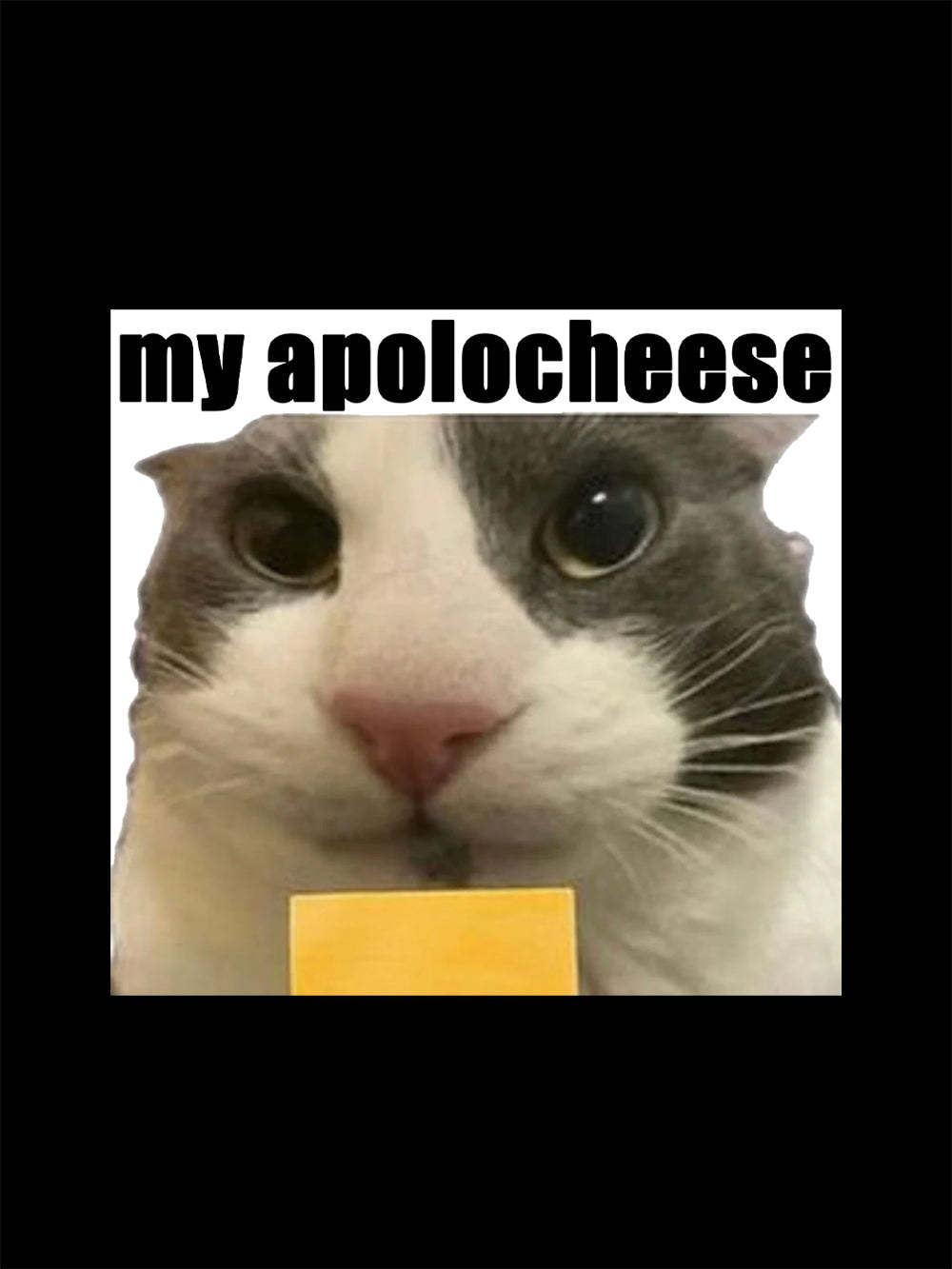 My Apolocheese Washed Tshirt