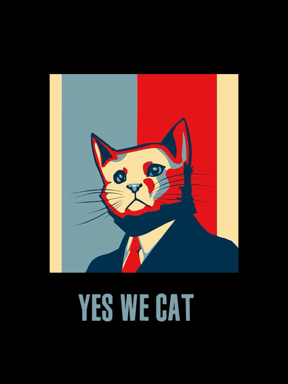 Yes We Cat Washed Tshirt