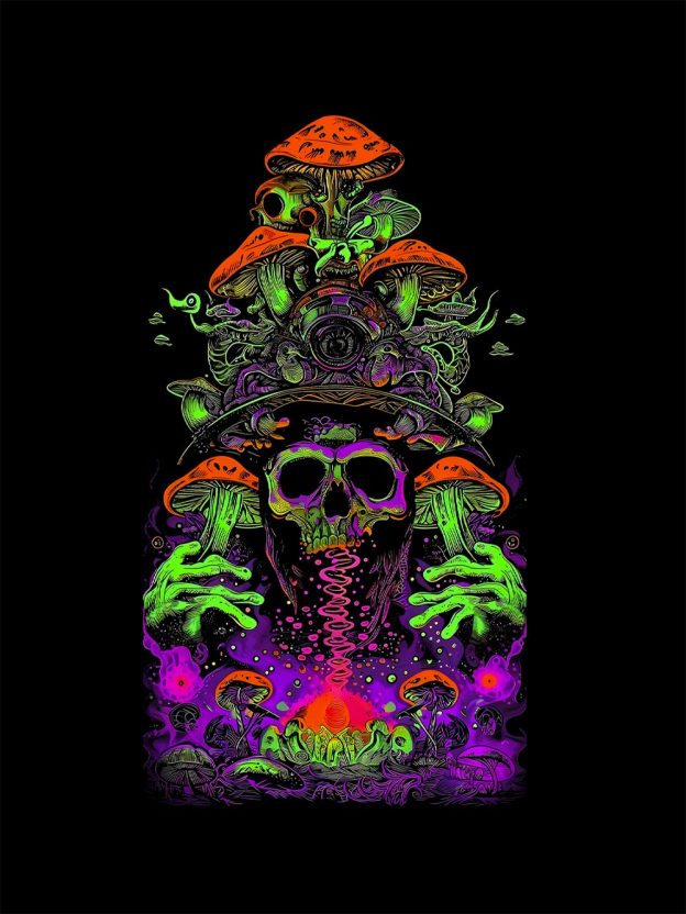 Mushroom Reverie Washed Tshirt