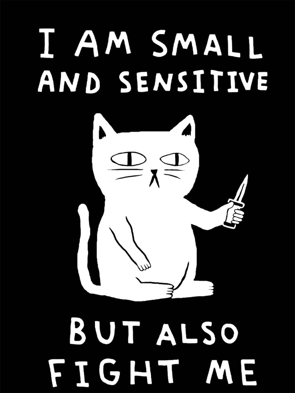 I Am Small And Sensitive But Also Fight Me Washed Tshirt