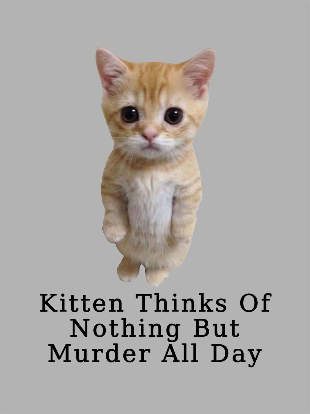 Kitten Thinks Of Nothing But Murder All Day Washed Tshirt