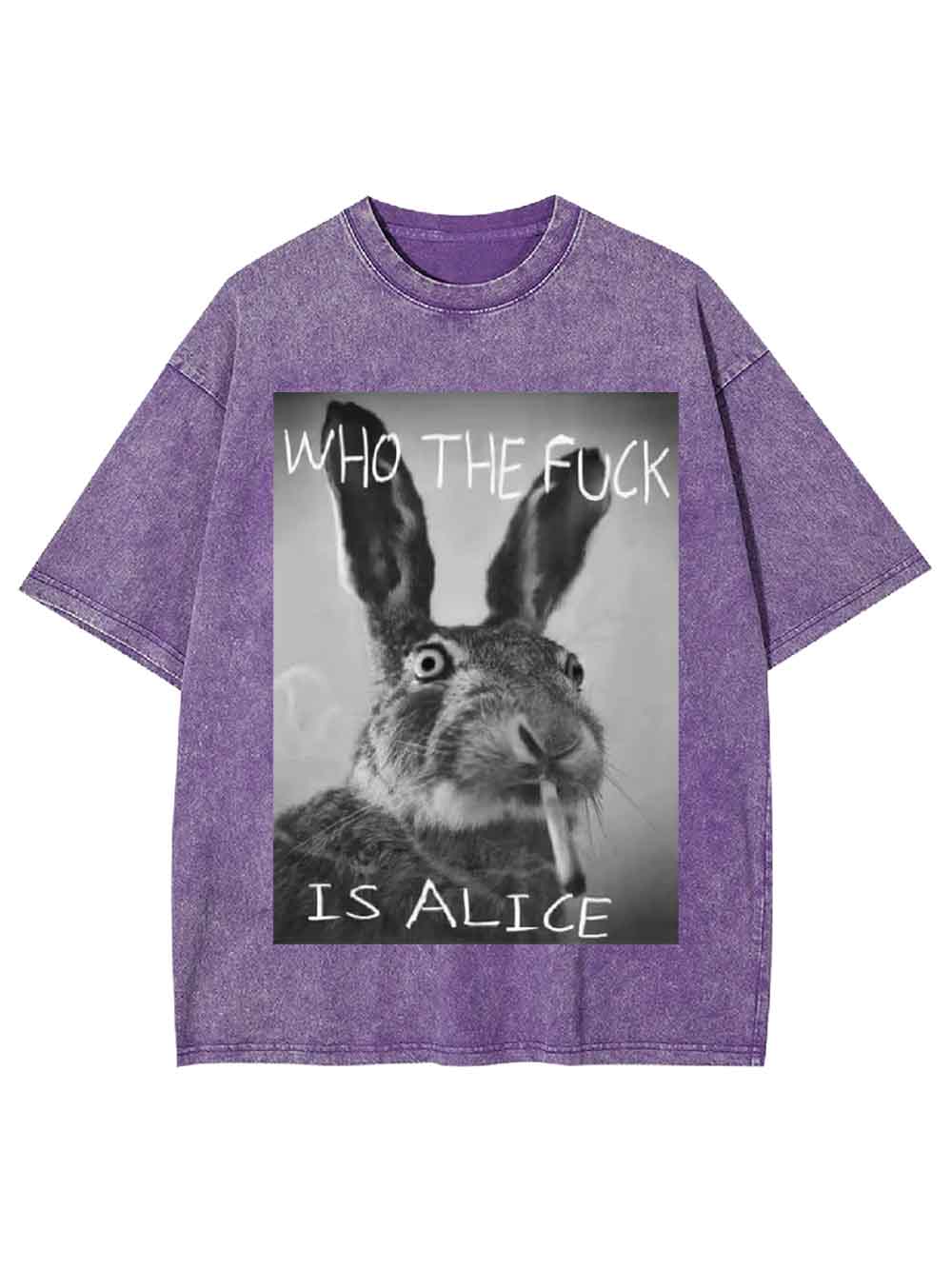 WHO THE FUCK IS ALICE WASHED TSHIRT