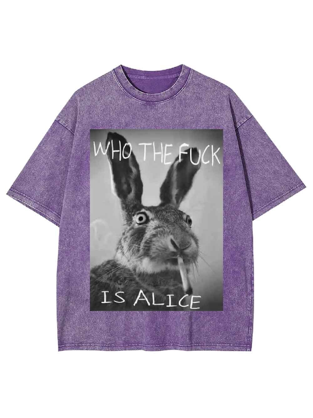 WHO THE FUCK IS ALICE WASHED TSHIRT