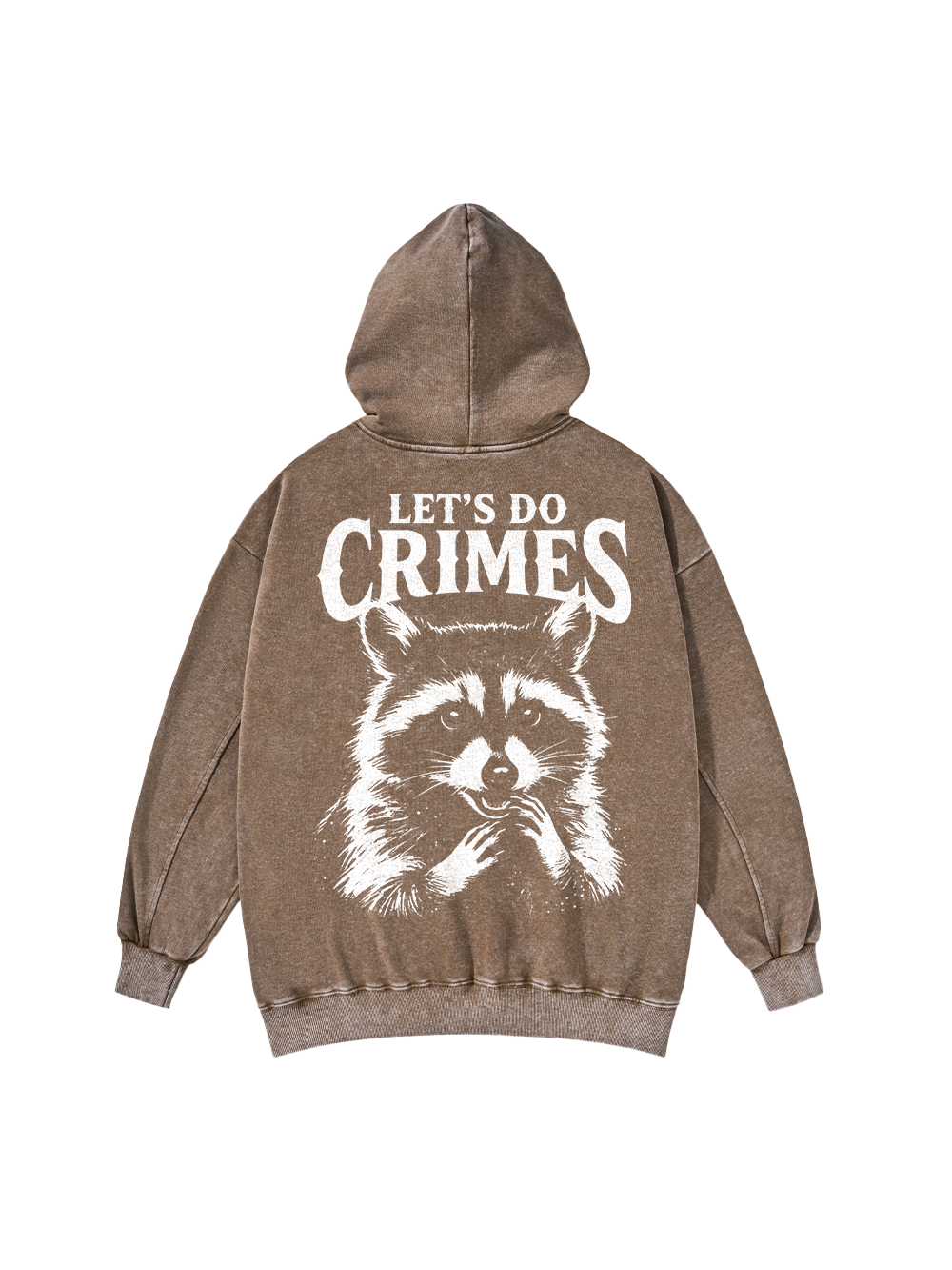 CRIMINAL RACCOON PLANS WASHED HOODIE