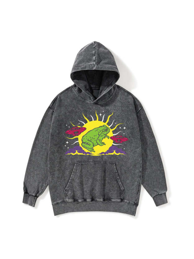 LICK THE TOAD MEET THE ALIENS WASHED HOODIE