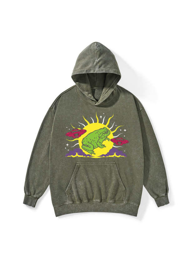 LICK THE TOAD MEET THE ALIENS WASHED HOODIE