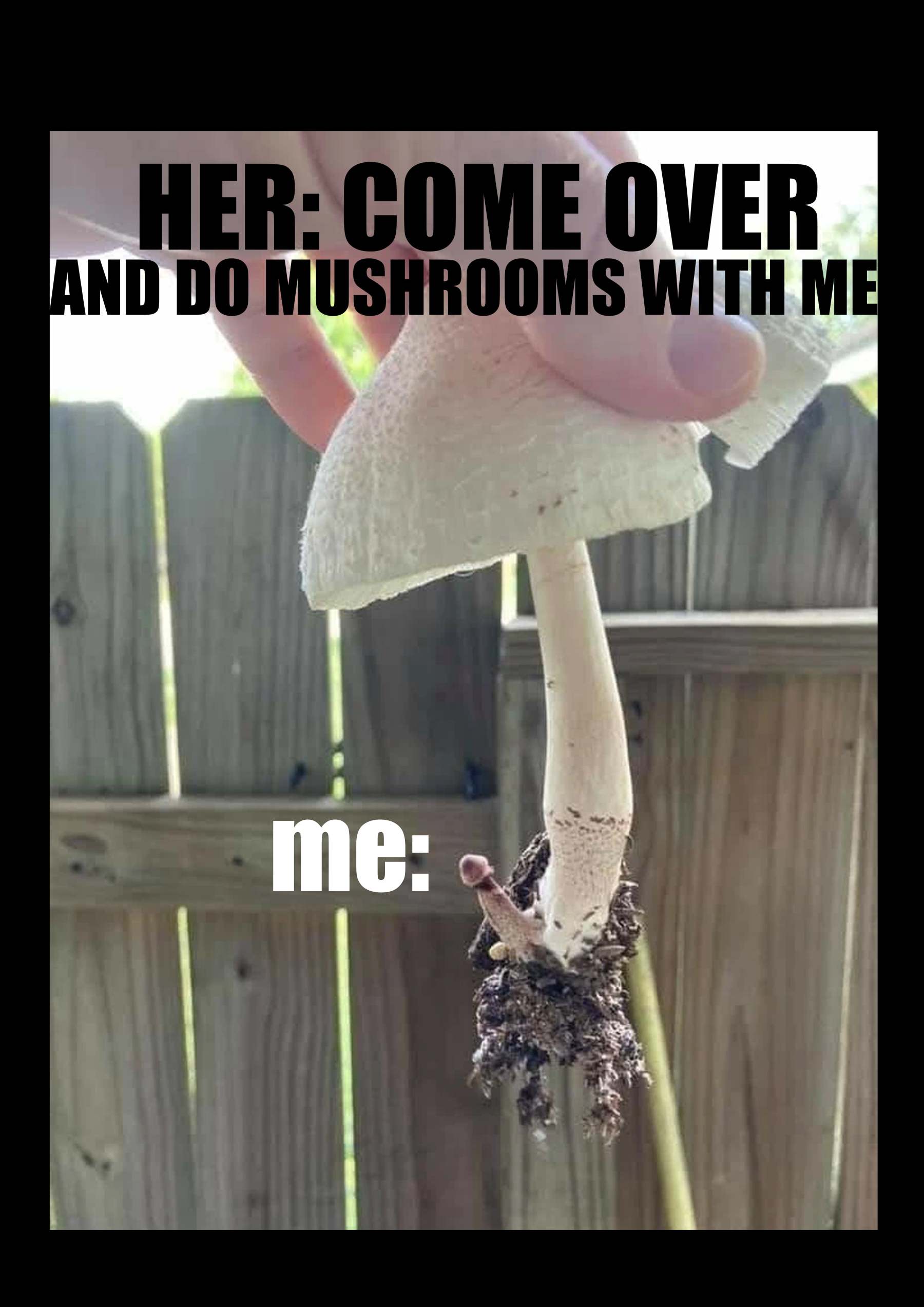 Come Over And Do Mushrooms With Me Washed Tshirt