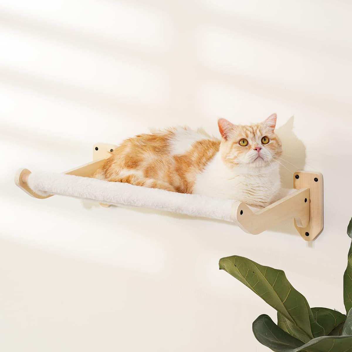 Bushwick Cat Wall Hammock