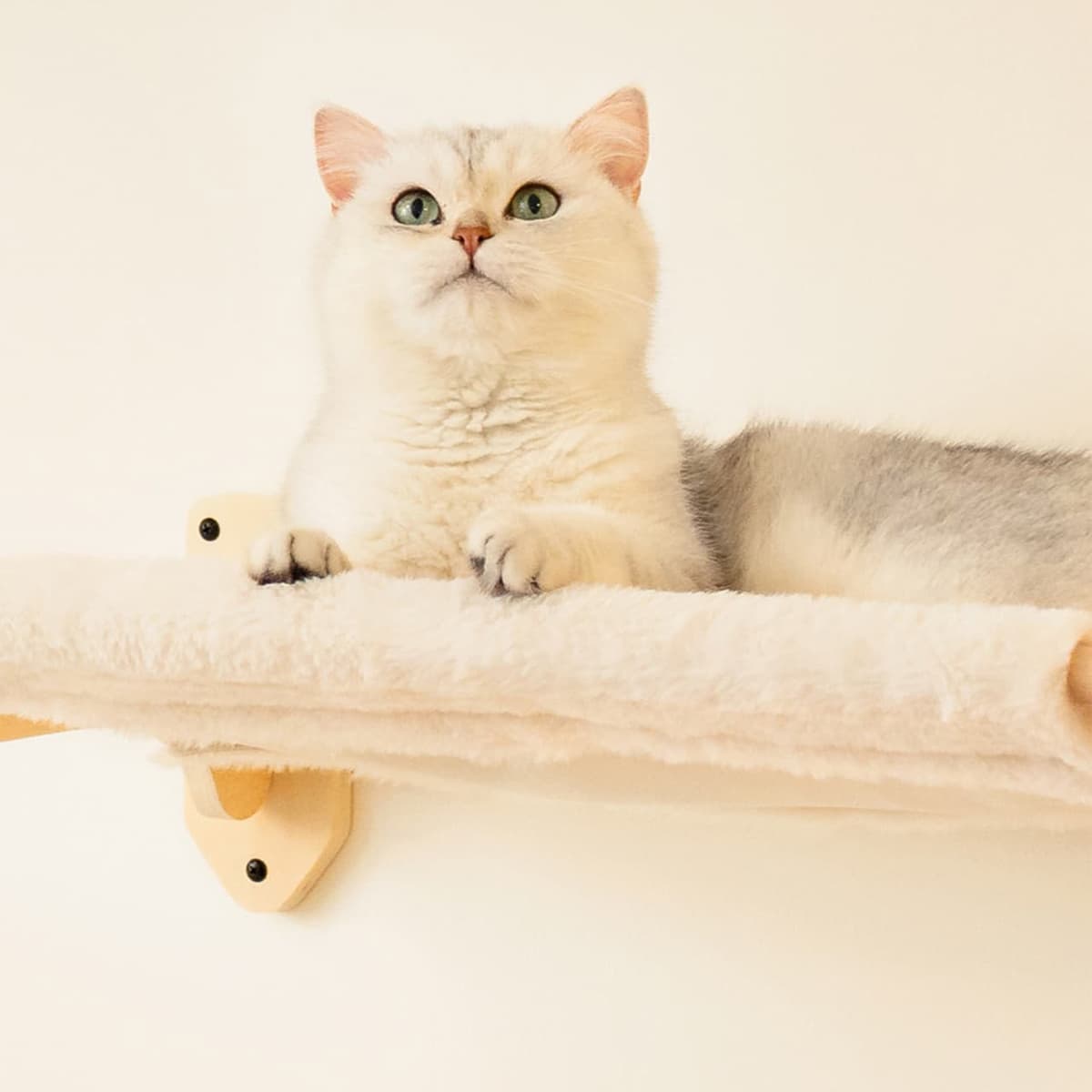 Bushwick Cat Wall Hammock