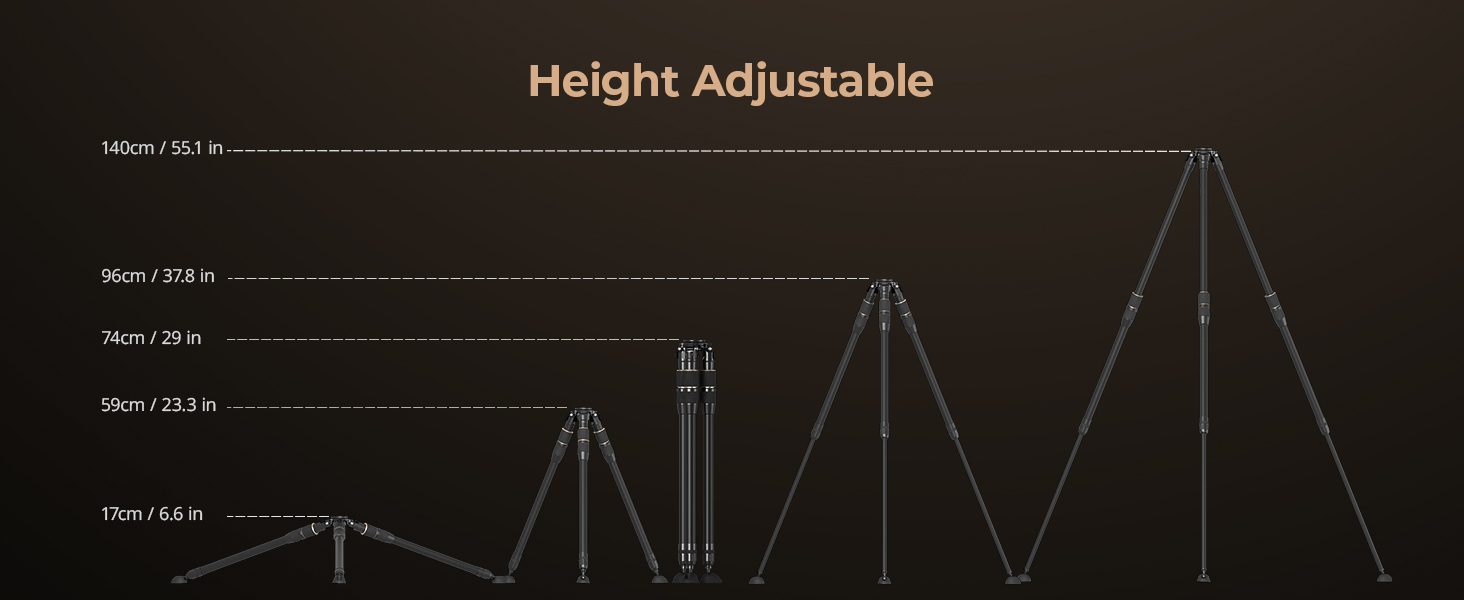 4645