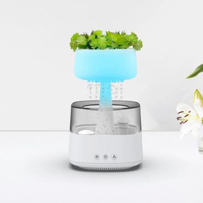 Ping-Tong® Sleep Aid Aromatherapy Humidifier Succulent Type