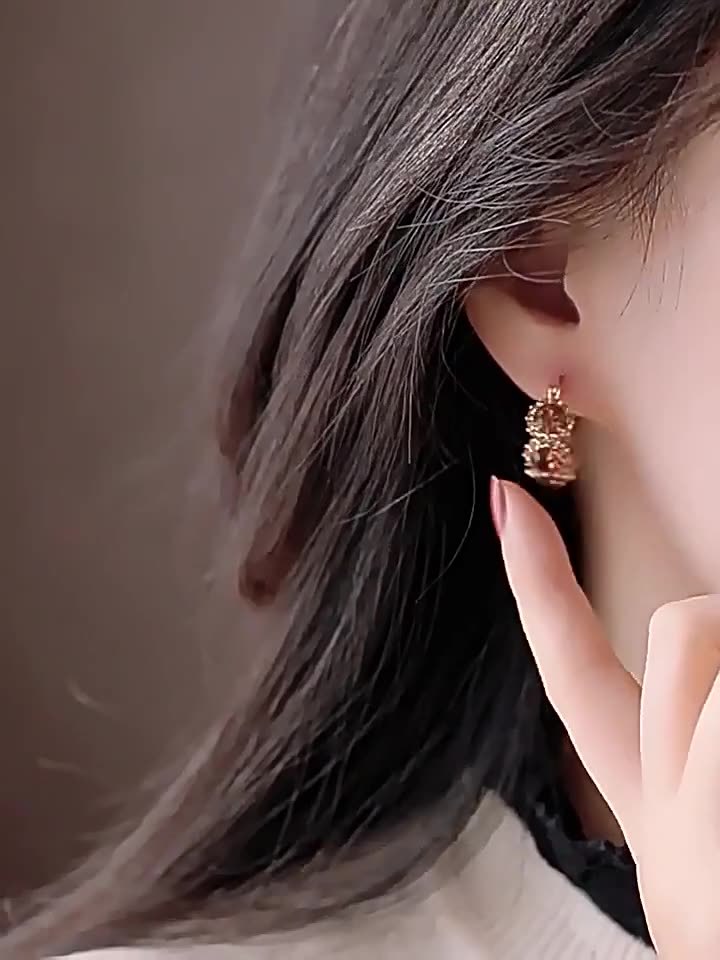 Delicate hoop crystal earrings A Pair
