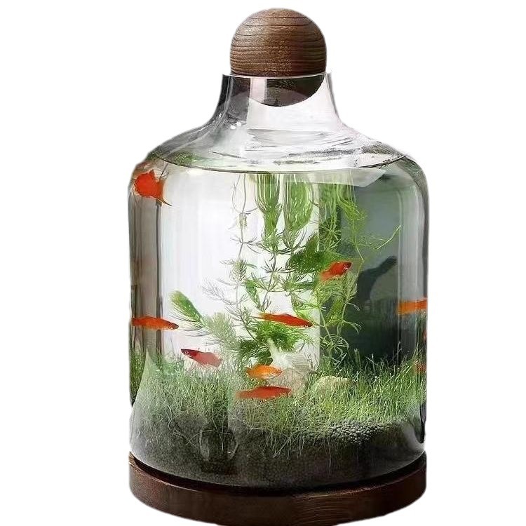 Transparent glass fish tank
