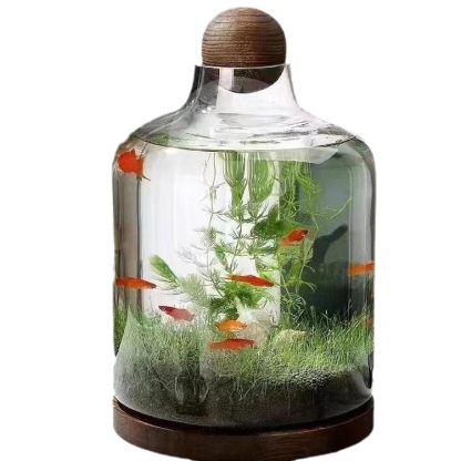 Transparent glass fish tank