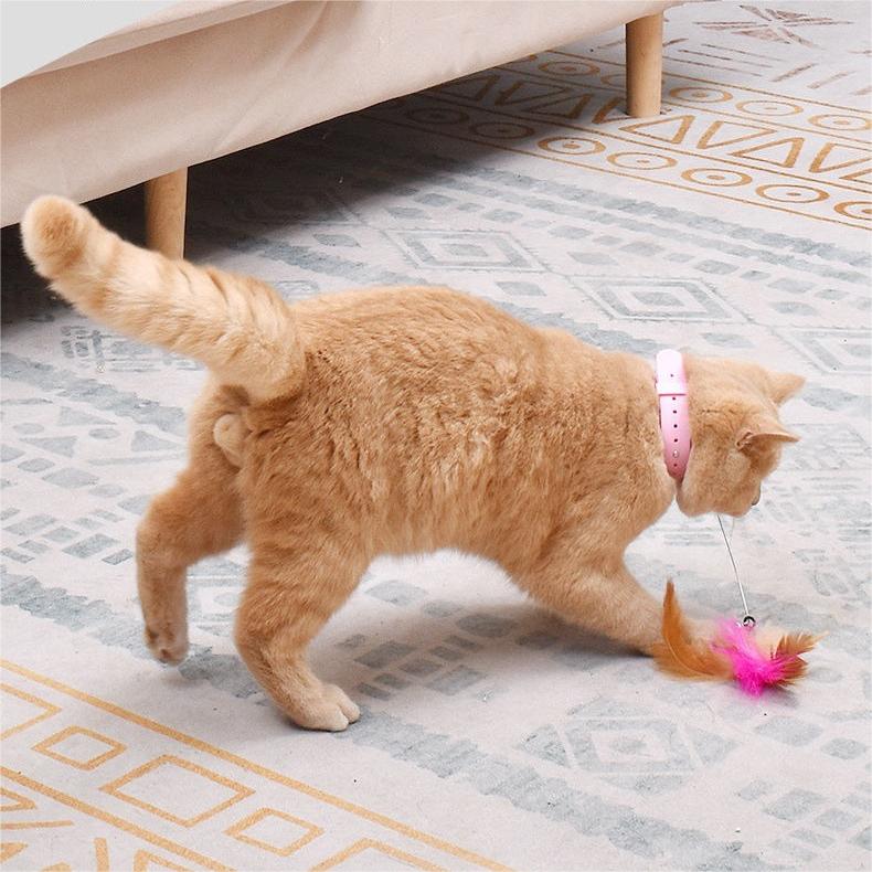 🔥Free hands collar cat teaser stick😻