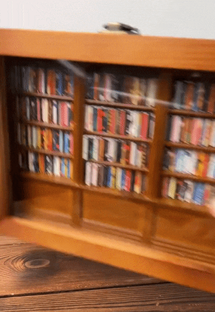 📚Shake Away Your Anxiety Bookshelf Decoration