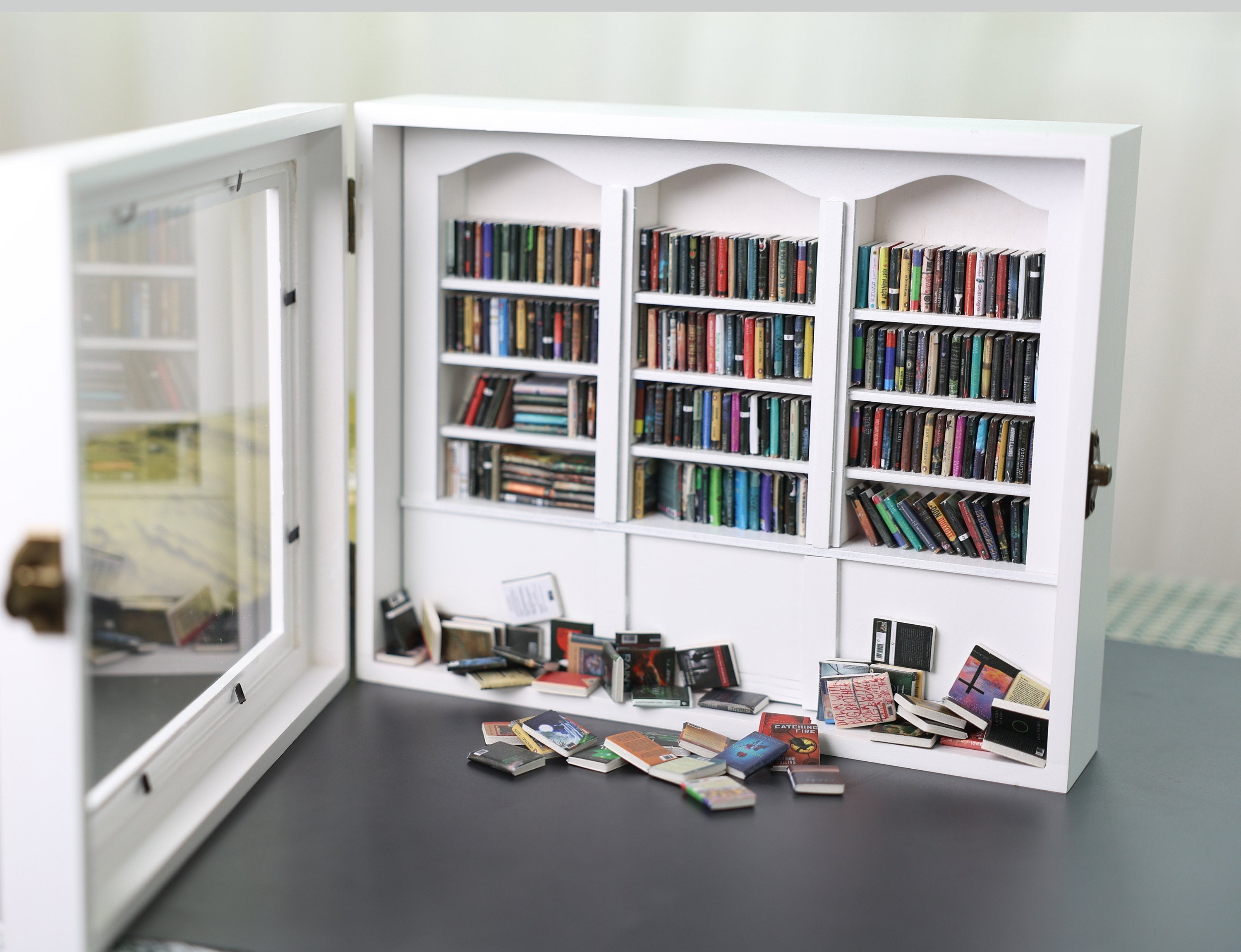📚Shake Away Your Anxiety Bookshelf Decoration