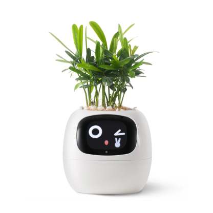 Smart Planter