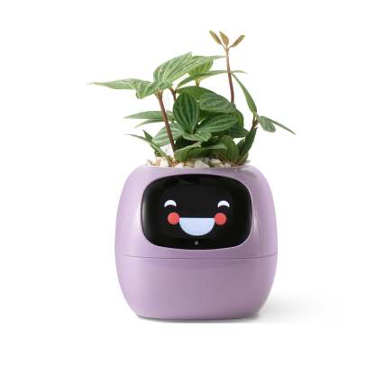 Smart Planter