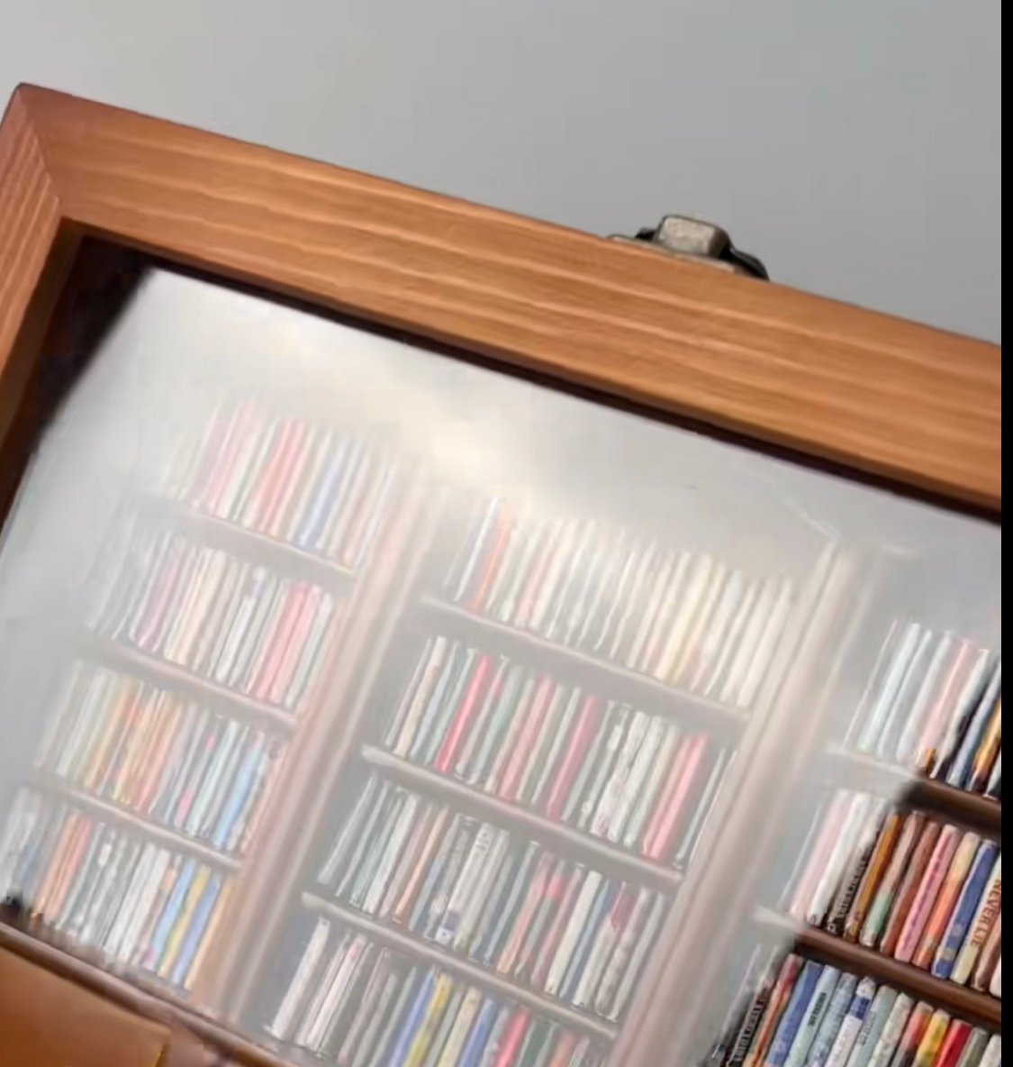 📚Shake Away Your Anxiety Bookshelf Decoration