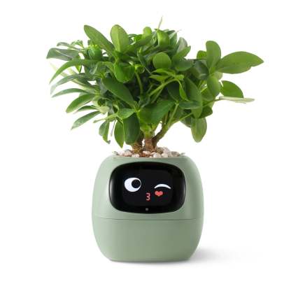 Smart Planter